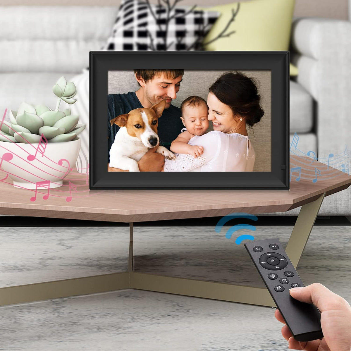 10.1 Inch LCD Digital Photo Frame with Remote Control V841