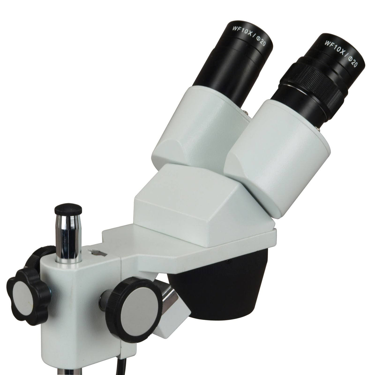 10X-30X Binocular Stereo Microscope with Dual Lights G54818