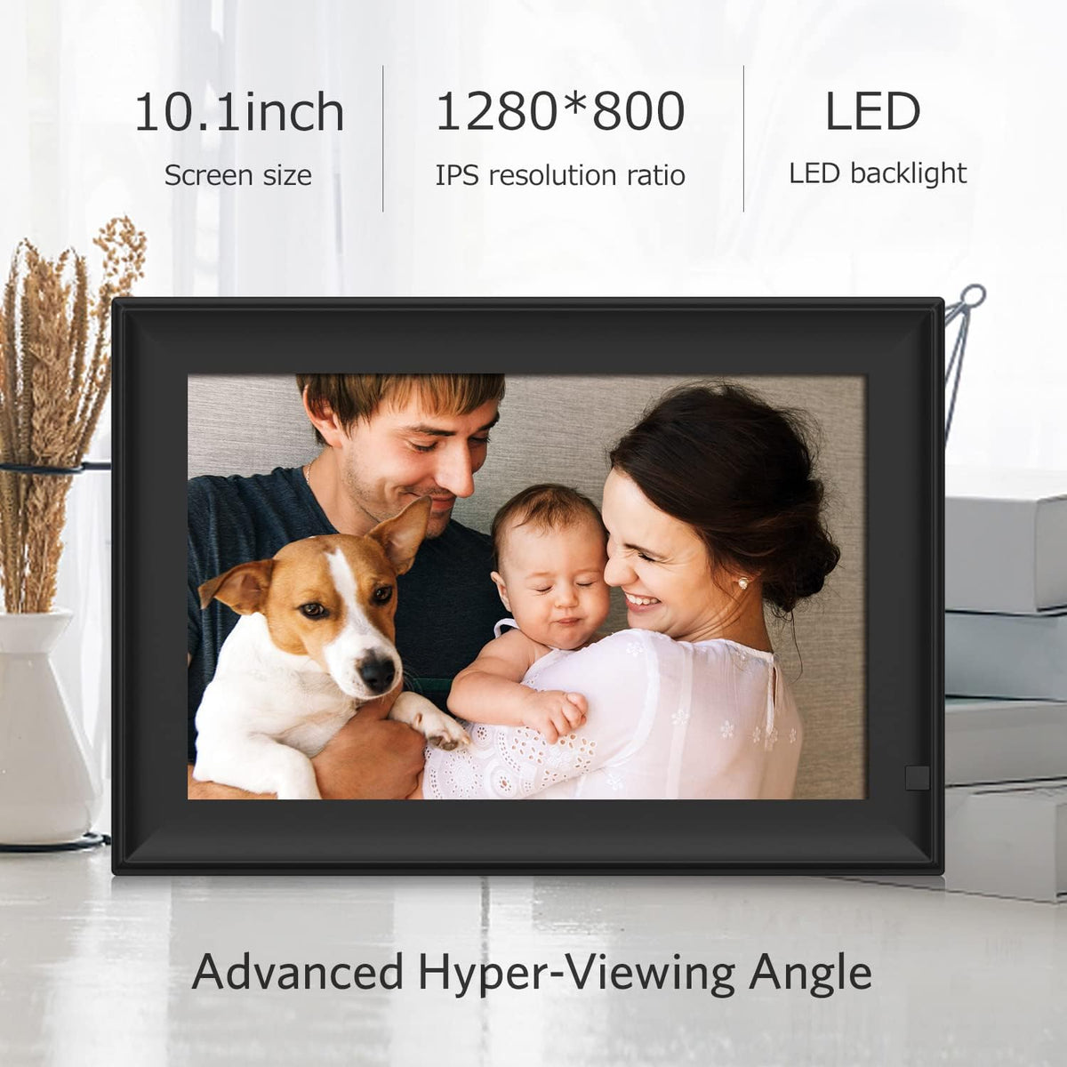 10.1 Inch LCD Digital Photo Frame with Remote Control V841
